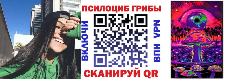 omg зеркало  Новая Ладога  Галлюциногенные грибы GOLDEN TEACHER 